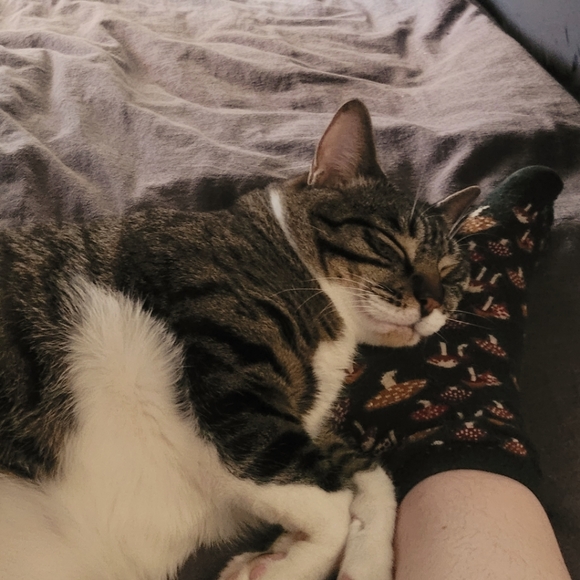 â ď¸ ALLERGY ALERT! â ď¸ - Picture 7 of 8